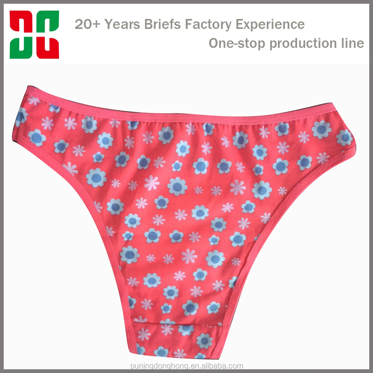 Hot Milky Cheap Sexy Ladies' Nylon Bikini Panties Buy Bikini Panties