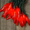 Chili Pepper Fiesta String Lights, Plug-In, Indoor Outdoor, 35 Red Bulbs