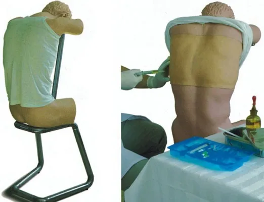 msl-ck20133 human standard anatomical structure sho