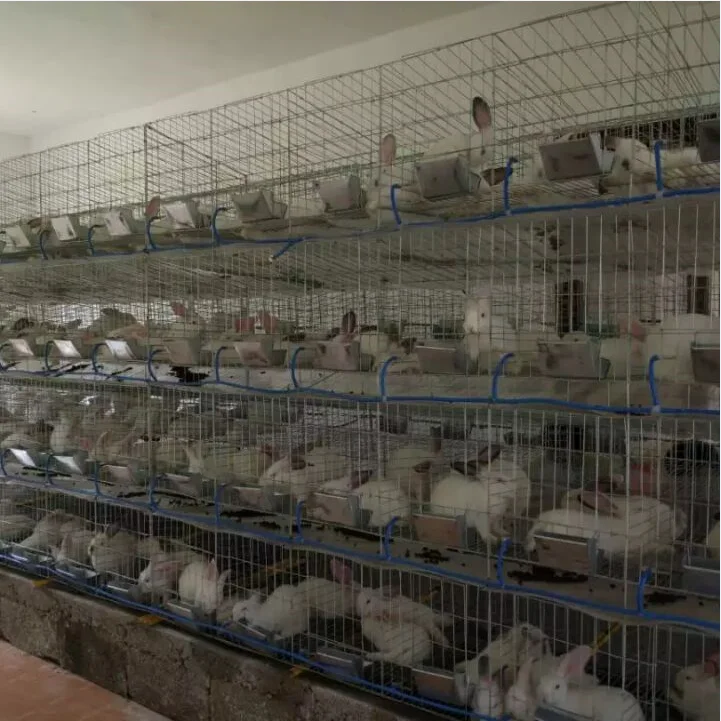 Easy Clean Commercial Rabbit Cage For Sale Used In Kenya Buy