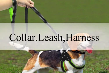 Collar Leash Harness.jpg
