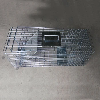 Perangkap Hidup Untuk Menjebak Sigung Sigung Buy Sigung