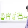 Flower-pot green plants window sticker glass Transparent window stickers