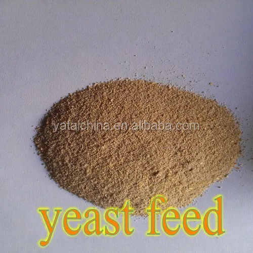 Corn Grain,Wheat Bran,Ddgs Make Yeast 60% For Animal Feed - Buy Yeast Feed,Yeast  Powder,Animal Feed Additives Product on 