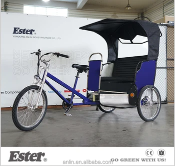 bicycle passenger trailer