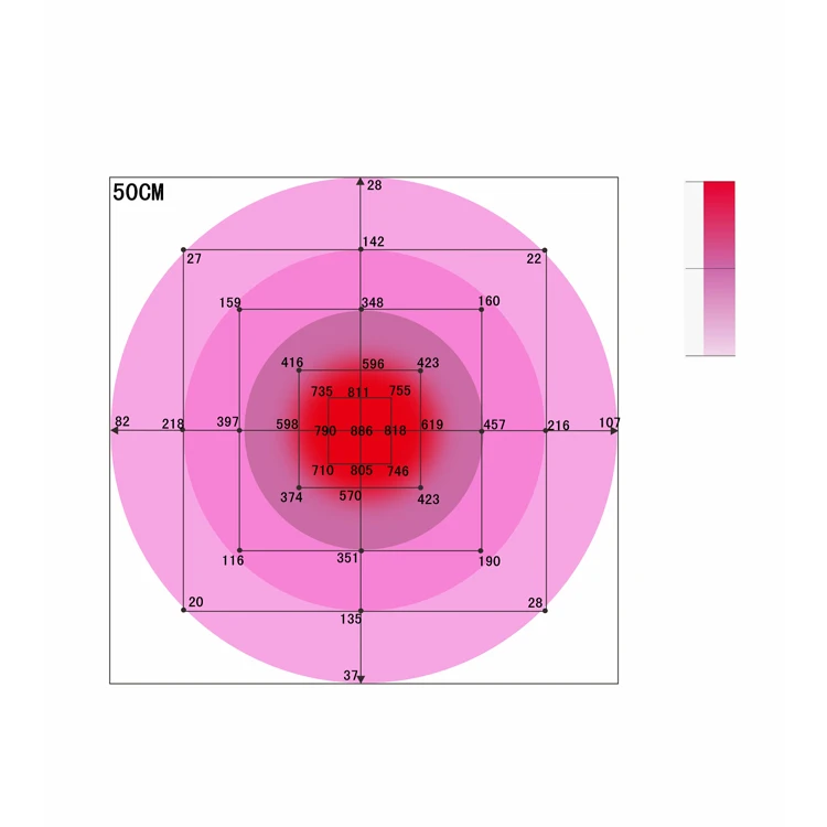 50CM .jpg