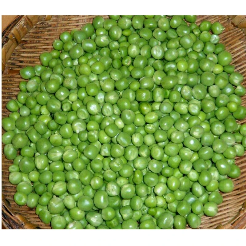 
IQF New crop bulk frozen green peas 