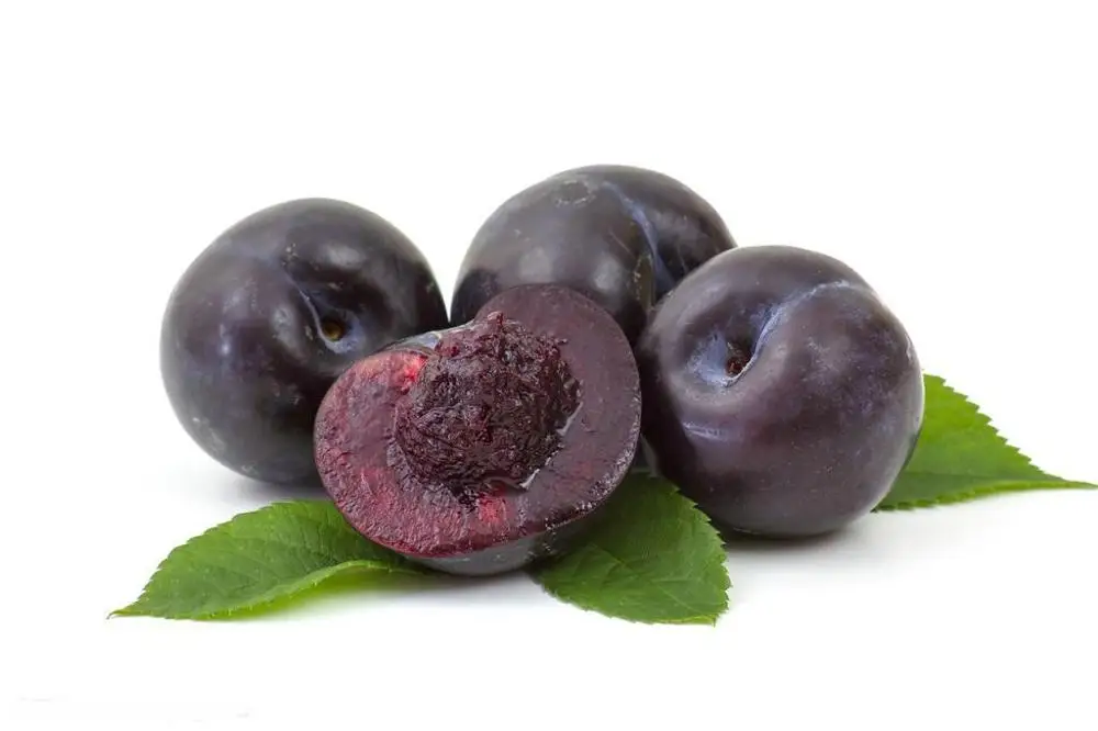 
china new crop president plum 