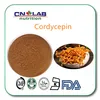 5%,99%Chongcaosu,cordyceps good for immune system