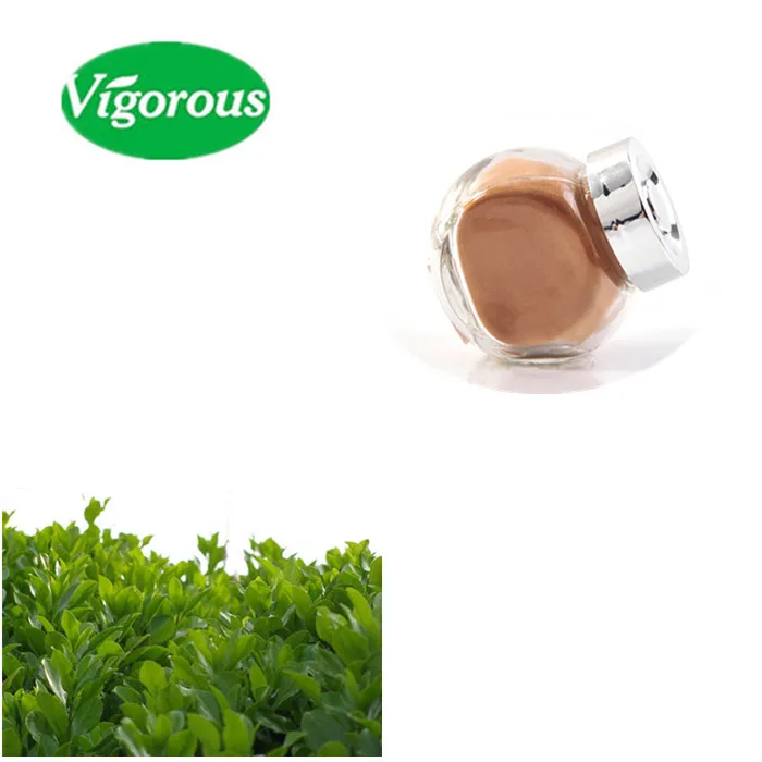 Yerba Mate Extract1.jpg