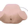Digital remote control cardiopulmonary auscultation and palpation instrument Heart check model