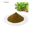 Natural portusana purslane extract portulaca oleracea extract purslane extract