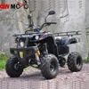 QWMOTO CE Zhejiang China 250cc Shineray engine ATV 250cc Engine quad bike