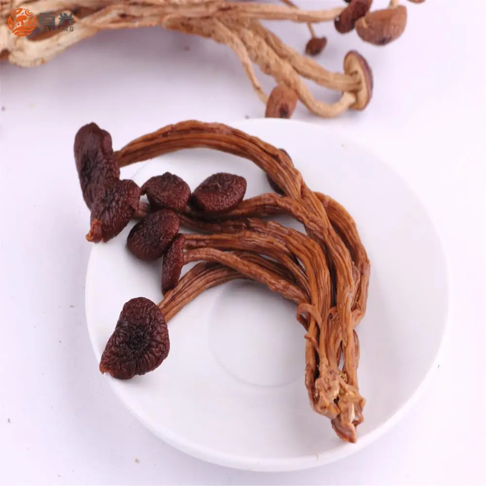 
High Performance Dried Agrocybe Cylindracea 