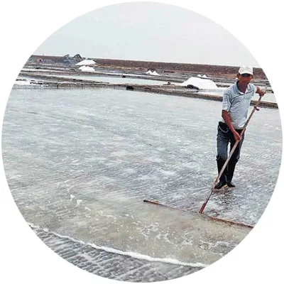 salt industry.jpg