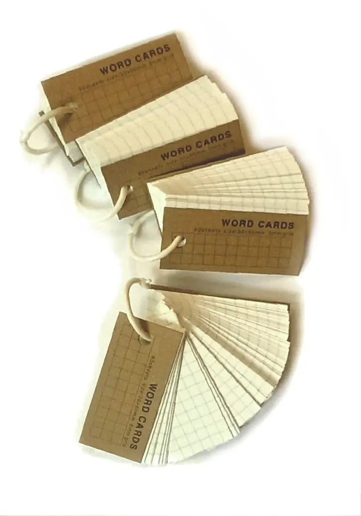 Mini Blank Flash Cards with Binder Ring EASY FLIP DRING 990 Cards 110