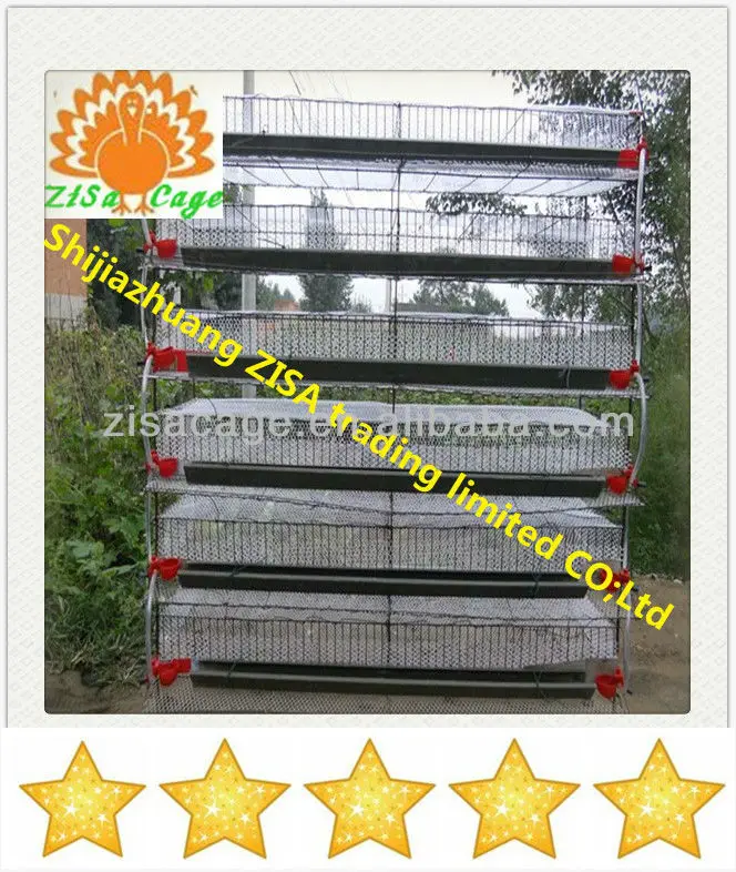 300 Birds Quail Egg Laying Cages And Automati Drinker System - Buy