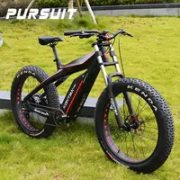 

26 inch Carbon fiber mountain frame 8 speed high quality 750w 48V 13ah electric bicycle 60km/h fast speed fat bike