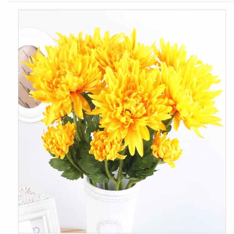 Factory Wholesale Fresh Cut Chrysanthemum For Home Decoration - Buy ...