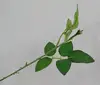 wholesale long and short Artificial leaf stem rose stem