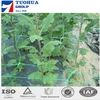 best selling pe anti bird netting , plastic hdpe bird hunting device trap net