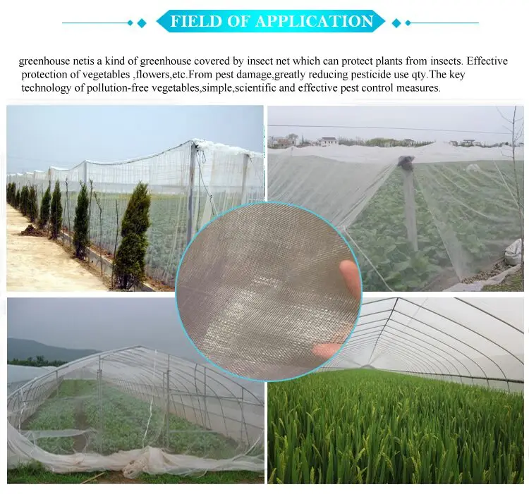 Polyethylene Fitted Insect Mesh Net for Trees / Greenhouse 40 Mesh Anti Insect Net for Vegetable Gardens