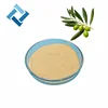 high quality factory supply cosmetic botanical organic antioxidant olive leah extract