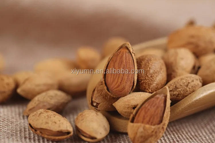 Bulk Natural Flavor Almond Nuts/ Roasted Almond Nuts For Sale Buy