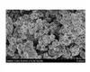 LiFePO4 (Phosphate) Powder for Li-ion Battery Cathode, 150 g/bottle - EQ-Lib-LFPO-S21