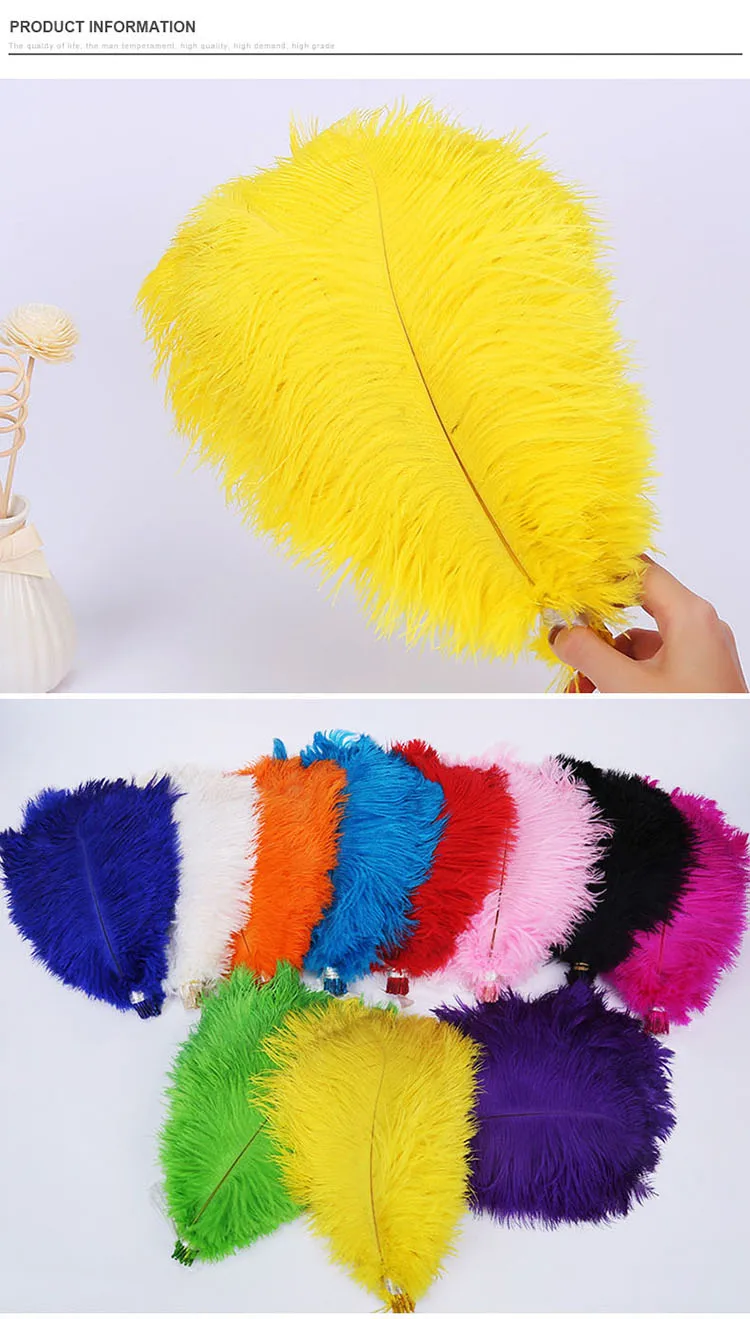 2530cm White South Africa Ostrich Feathers Buy Different Colours