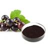 Best Price Natural Water Soluble organic black currant extract powder