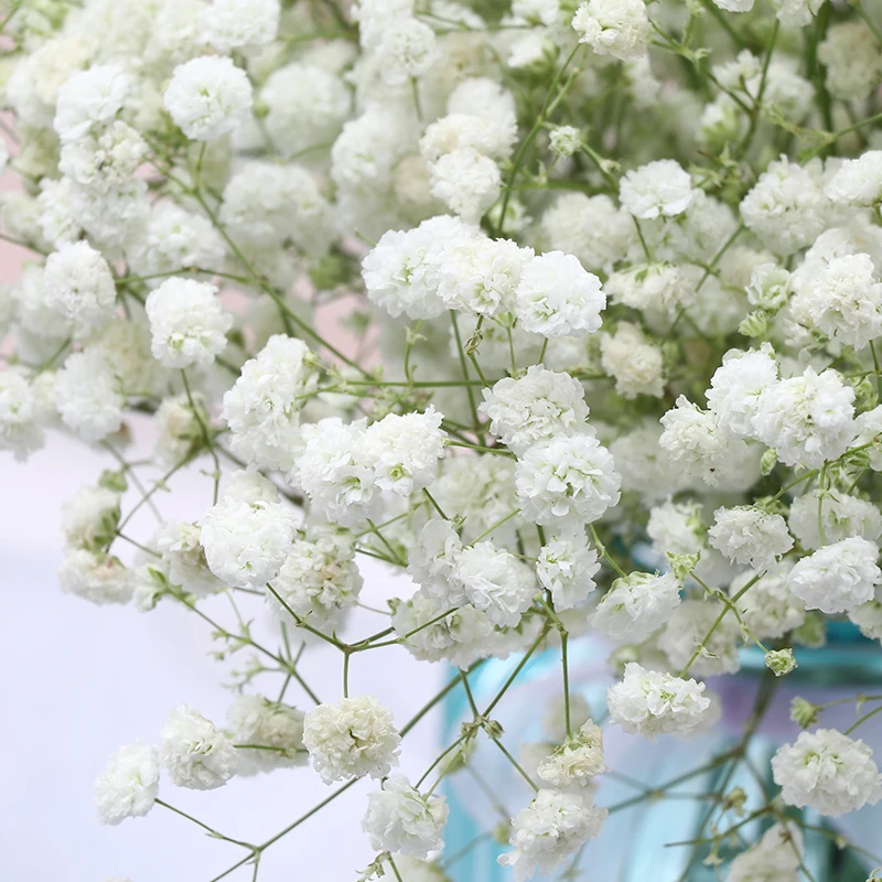 Wholesale Cheap Gypsophila Flowers Artificial Flowers For Wedding