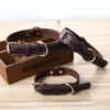 Soft Padded Luxury Double D-Ring Genuine Full Grain Pet Leather Dog Collar for Small Medium Large Puppy