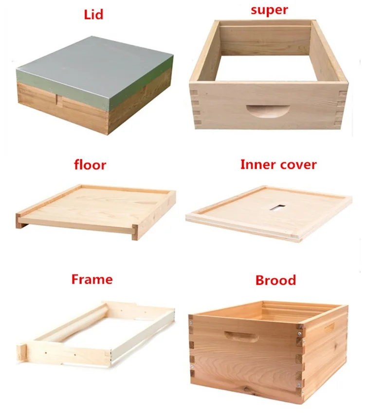 
Two layers 10 frames wooden langstroth bee hive with best price 