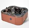 New control system wood steps and spa cover 5 person hot spa tubs