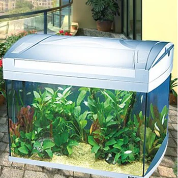 portable fish tank