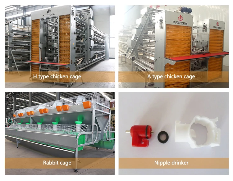 Zimbabwe Cages Laying Hens Poultry Equipment Layer Feeding Chicken Cage