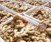 Chinese fresh ginger and garlic supplier