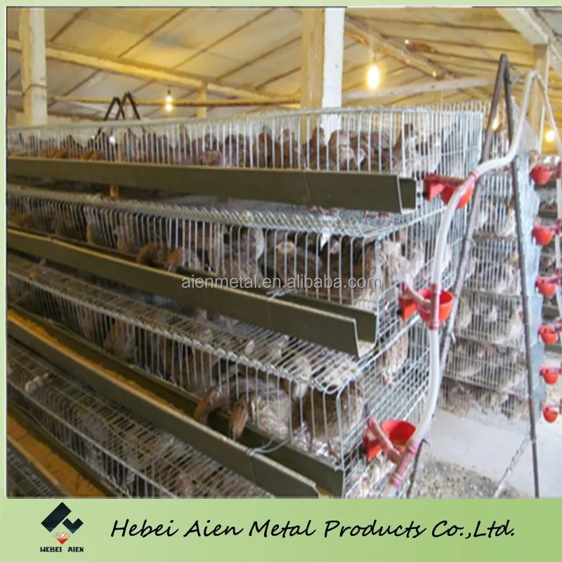 Skala besar baterai otomatis puyuh kandang-Kandang hewan 