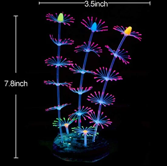 aquarium decoration 2.png