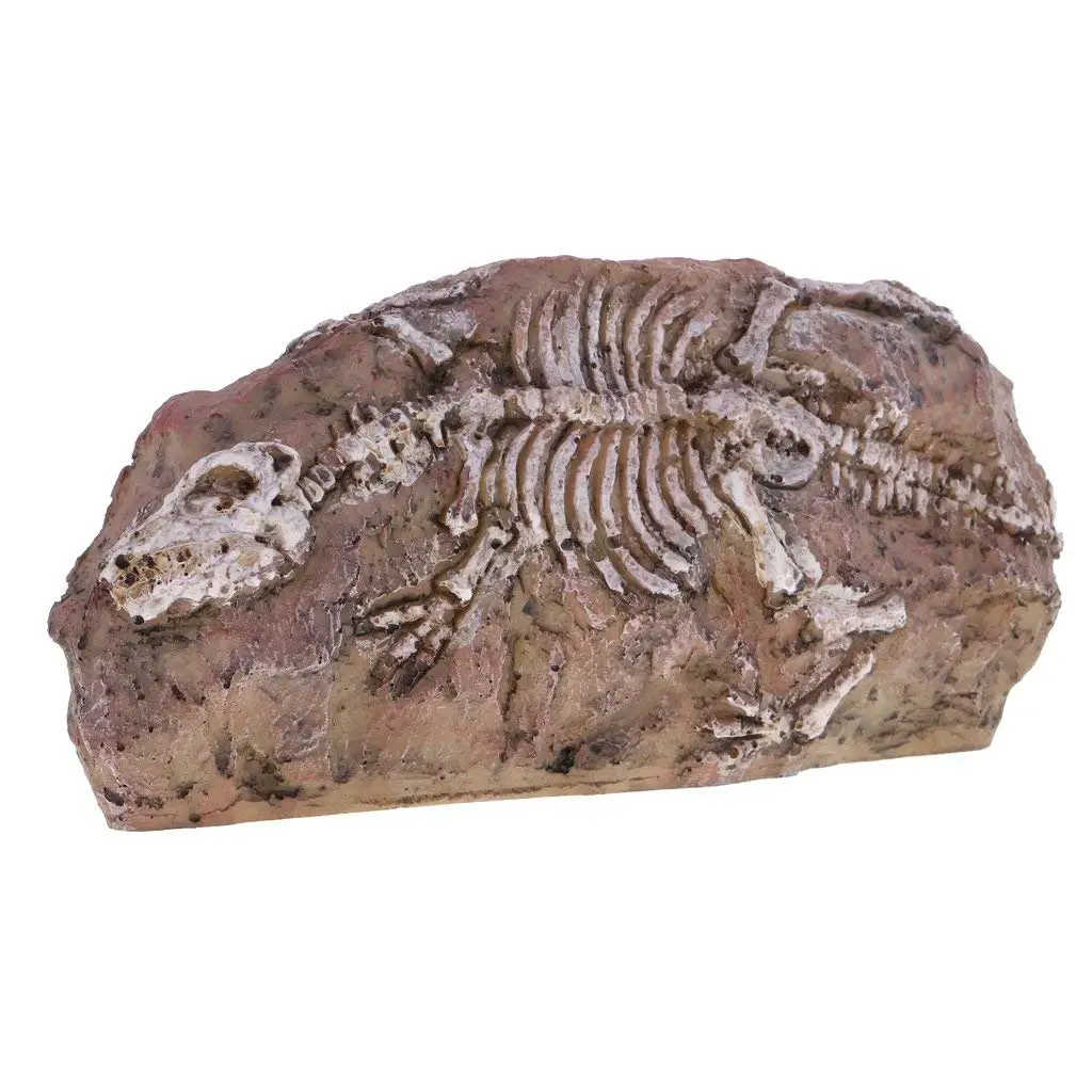 Decorations Resin Dragonfly Reliquiae Stone Aquarium Decoration