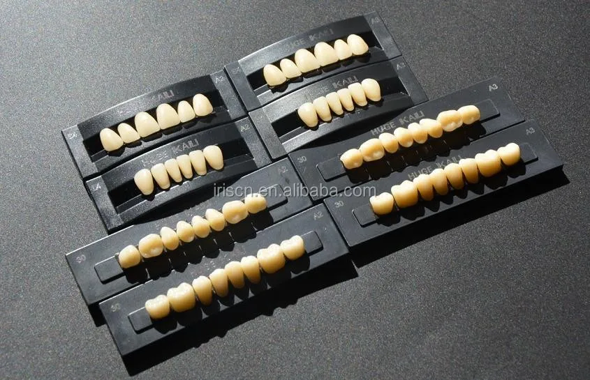3 Layers Huge Dental Acrylic Resin Artificial Teeth Anterior Posterior