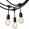Outdoor Globe Incandescent Bulb String Light E26 48FT 15Sockets String Lights Outdoor Decorative