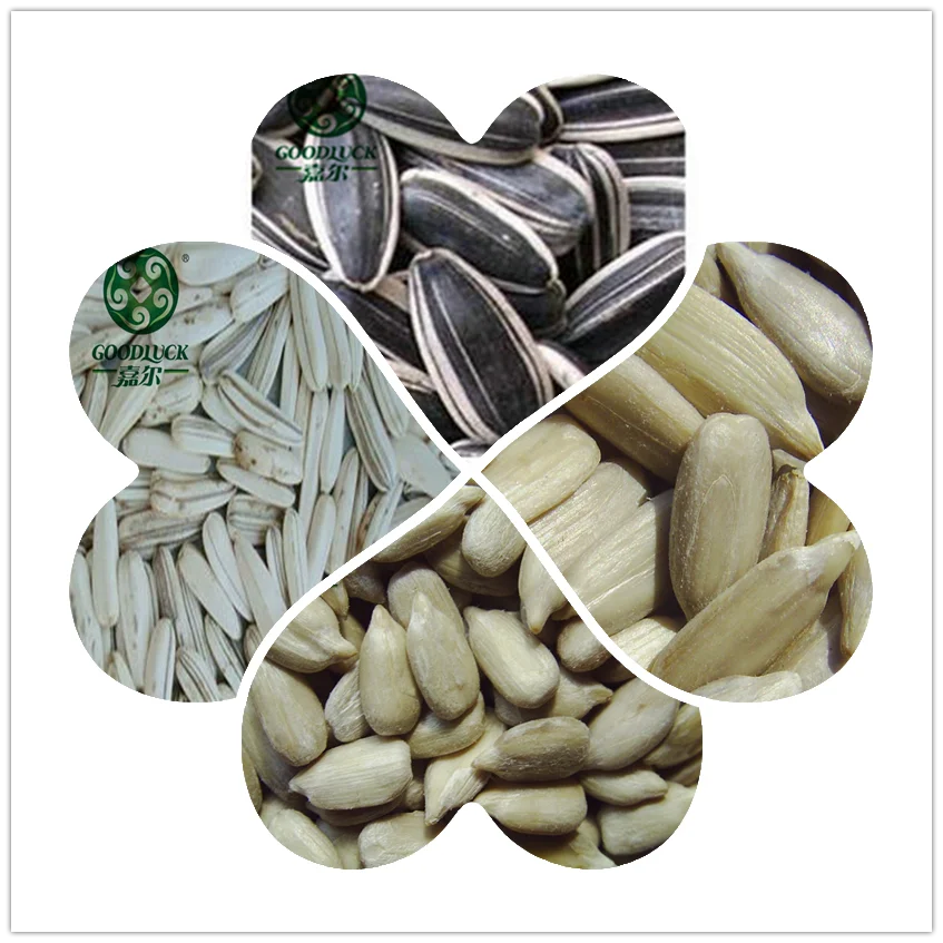 Market Price Chinese Sun Flower Seeds In Pp Woven Bag Buy Chinese