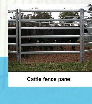 cattle panel.