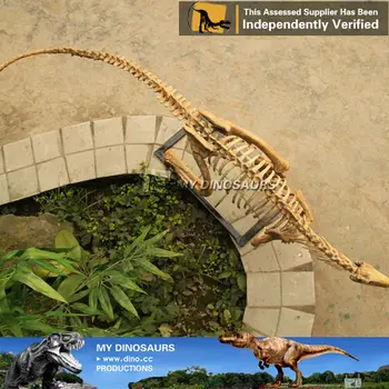 miniature dinosaur skeleton