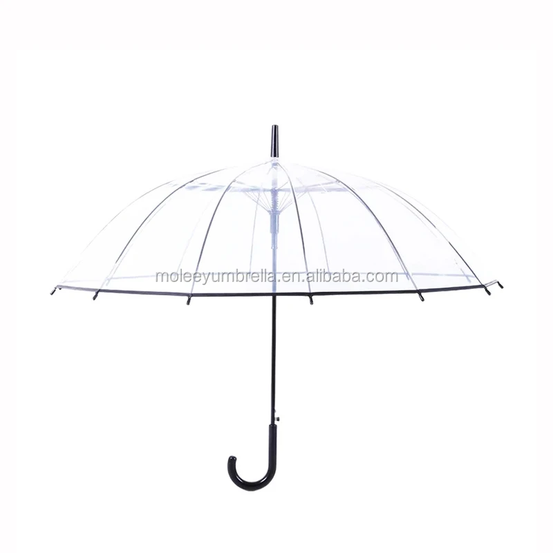 transparent umbrella (4).jpg