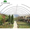 Cheap Tunnel Arch Greenhouse