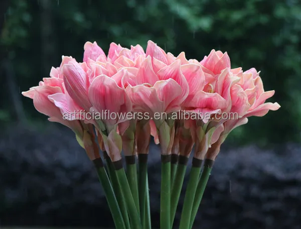 Atacado Planta Clivia Flor Arranjos De Flores Artificiais Buy Flores Artificiais Arranjos Clivia Planta Handmade Arranjo De Flores Product On Alibaba Com