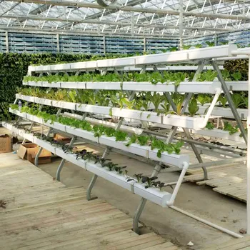 Bigger Size Hydroponics Nft Growing Systems For Greenhouse - Buy ...